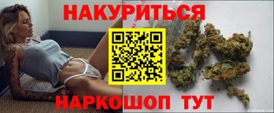 сатива Гай