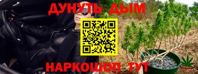 прущие крисы Гагарин