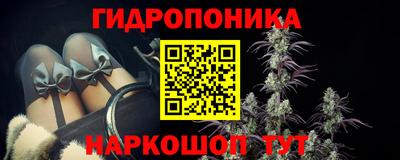 сатива Гай