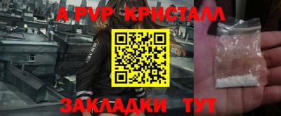 сатива Гай