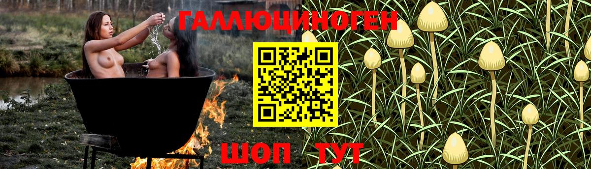 Псилоцибиновые грибы Psilocybe  Галлюциногенные грибы Psilocybe  Вход с VPN  Мурманск 