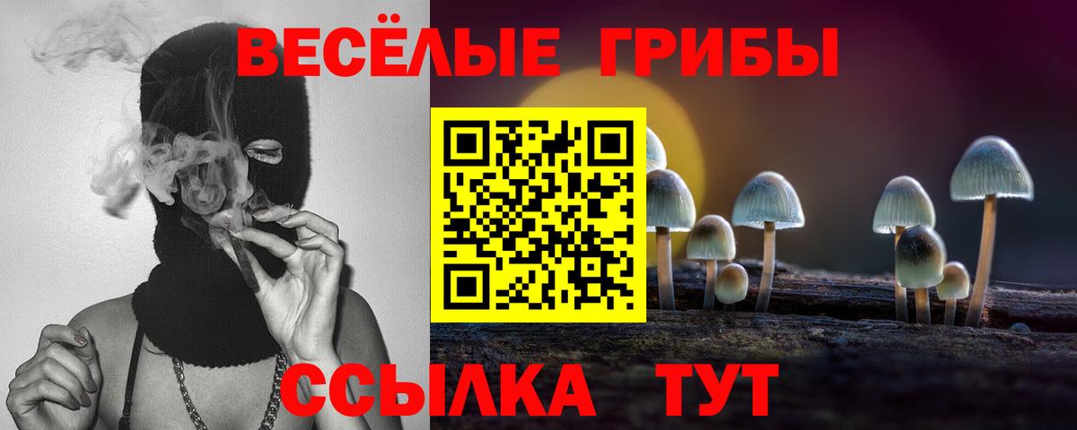 Галлюциногенные грибы мицелий Мурманск